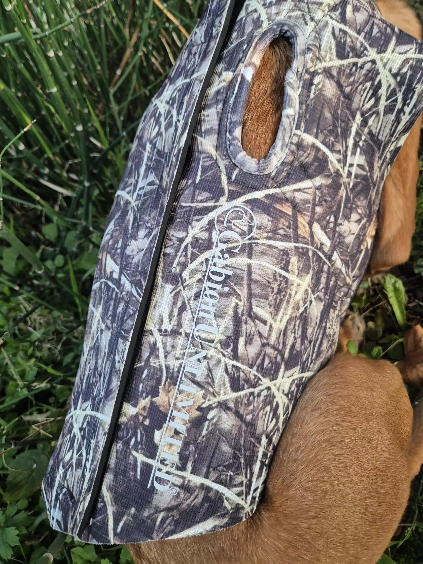 Gilet pour chien
