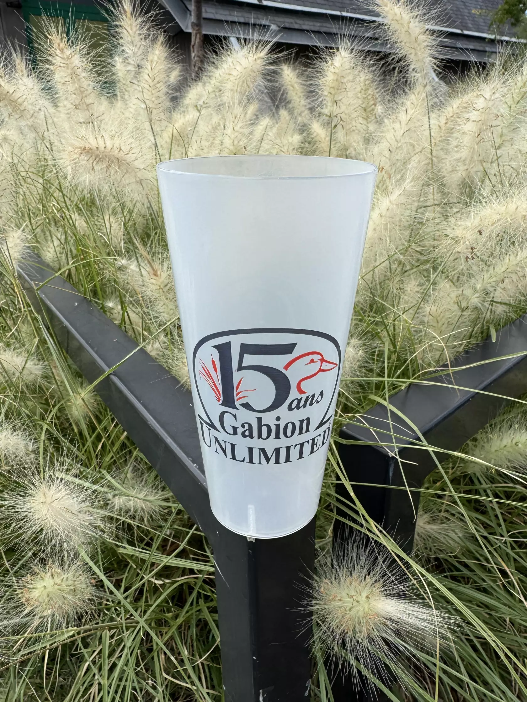 Gobelet 15 Ans 50CL (Pinte)