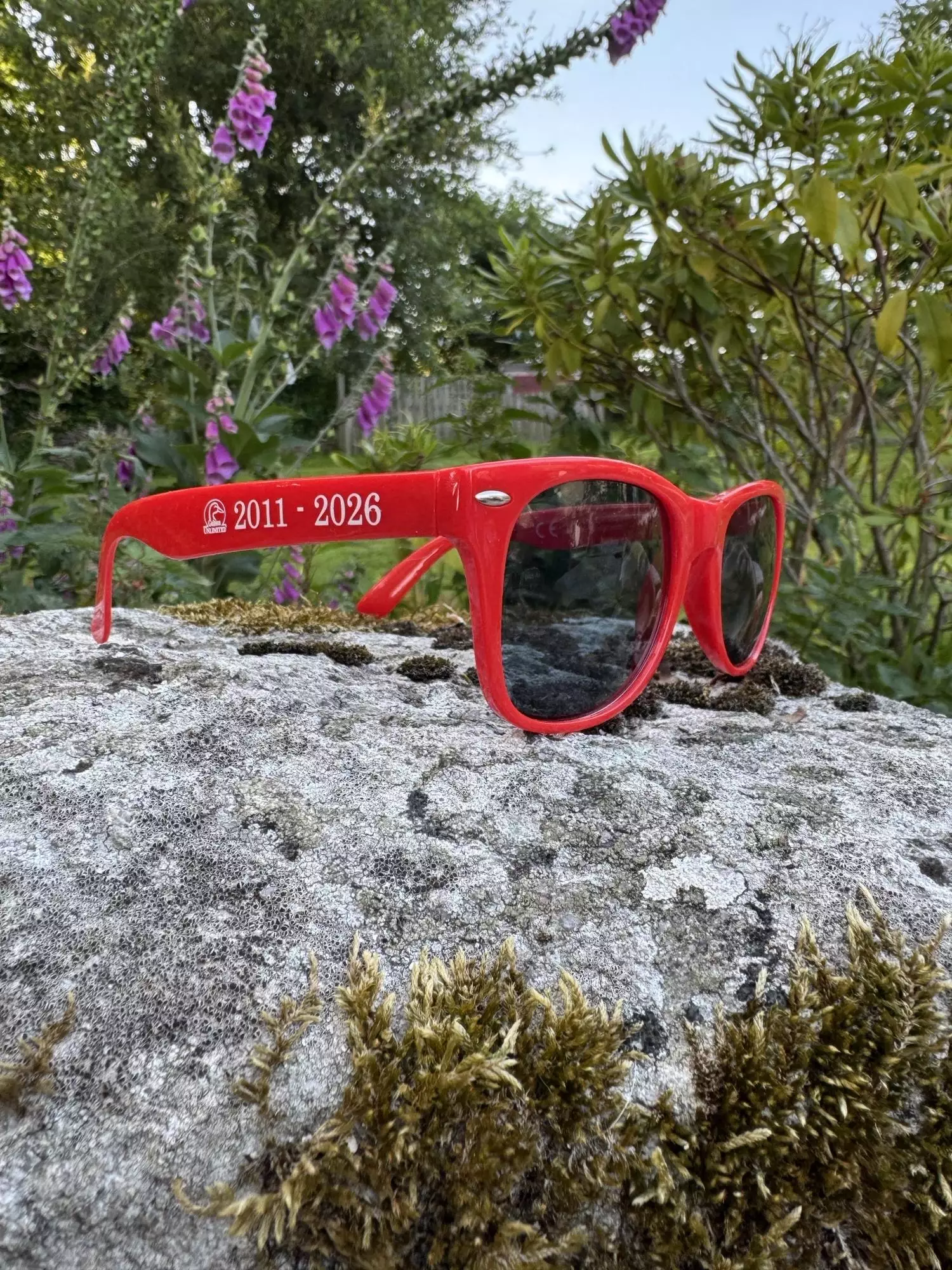 Lunettes soleil 2026-2027