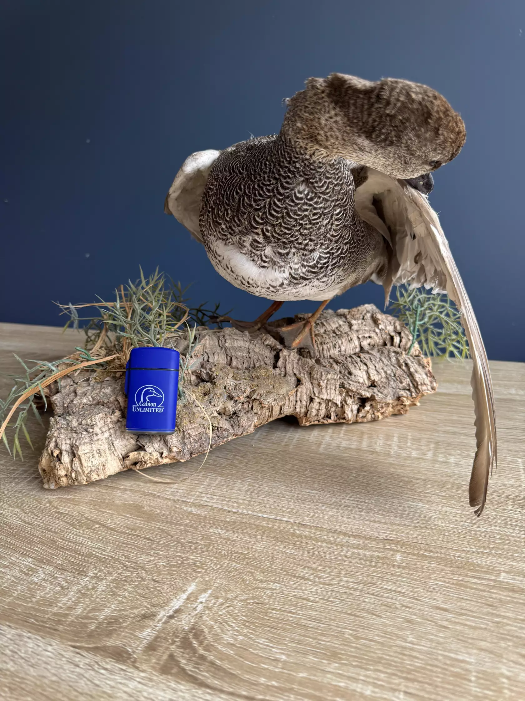 Briquet Tempête G.U Bleu