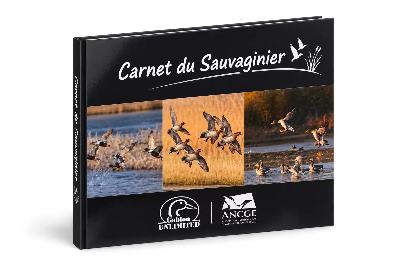 Carnet du Sauvaginier