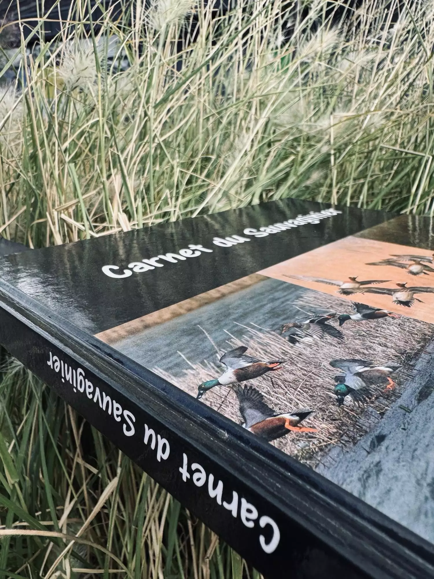 Carnet du Sauvaginier