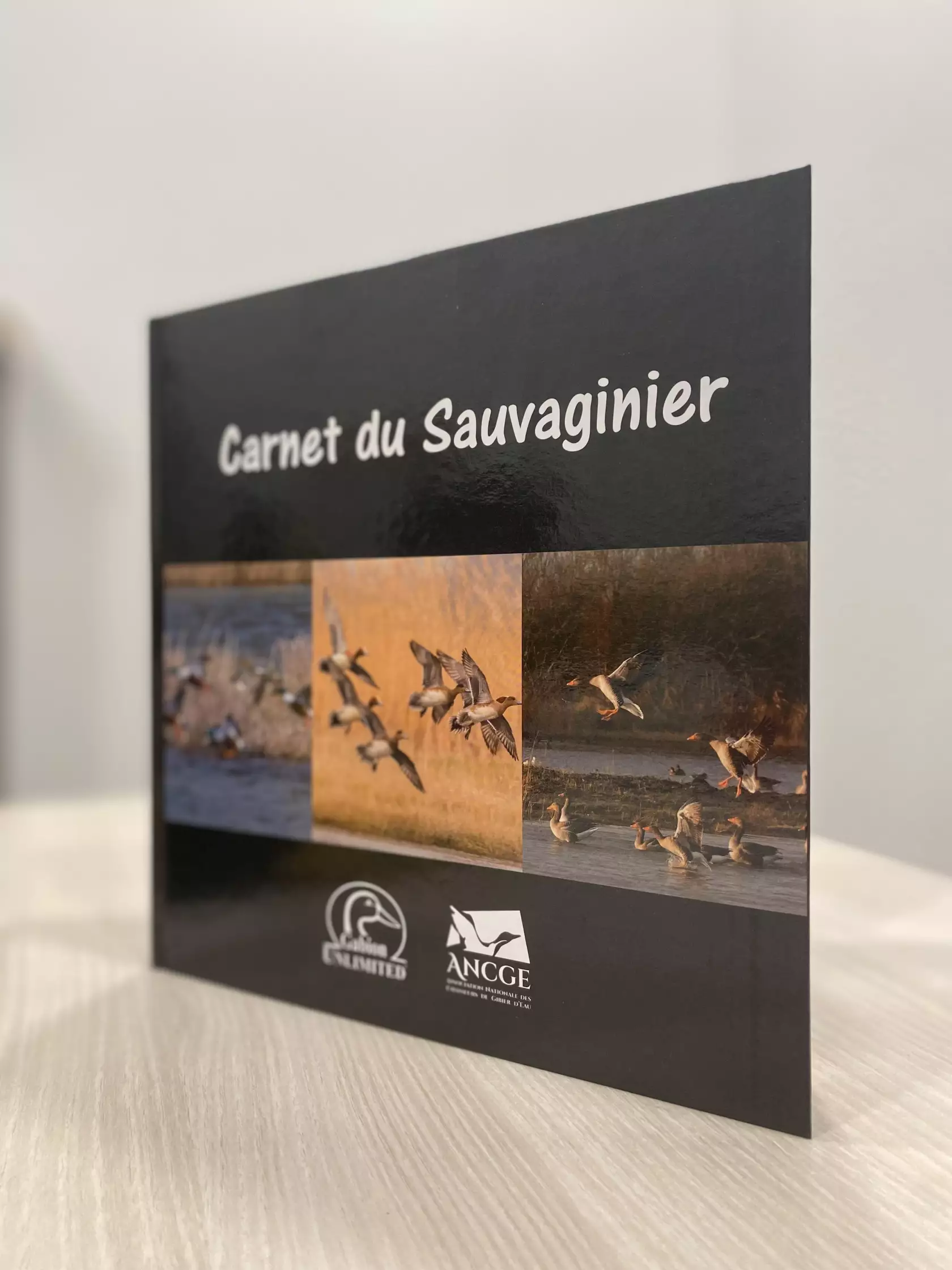 Carnet du Sauvaginier