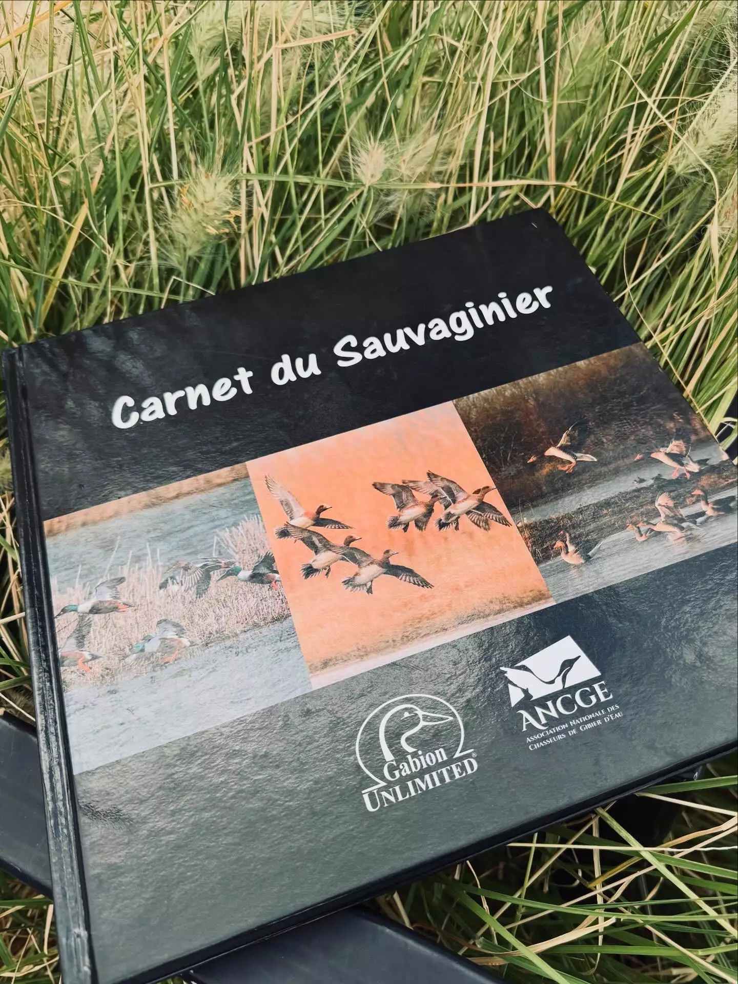 Carnet du Sauvaginier